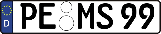 PE-MS99