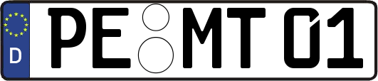 PE-MT01