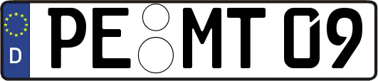 PE-MT09