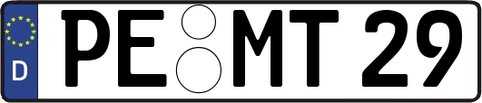 PE-MT29