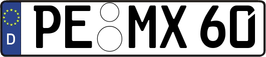 PE-MX60