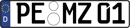 PE-MZ01