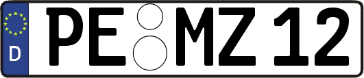 PE-MZ12