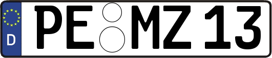 PE-MZ13