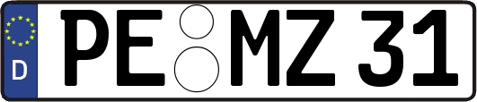 PE-MZ31