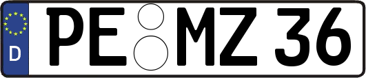 PE-MZ36