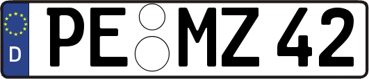 PE-MZ42