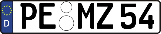 PE-MZ54
