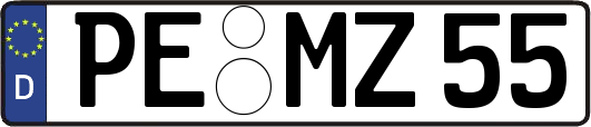 PE-MZ55