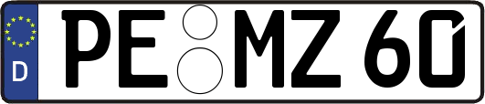 PE-MZ60