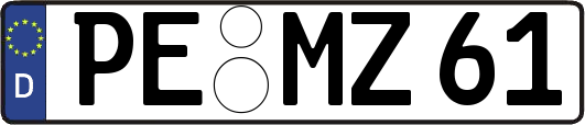 PE-MZ61