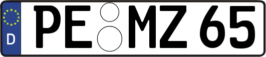 PE-MZ65