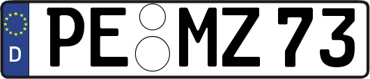PE-MZ73