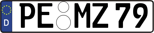 PE-MZ79