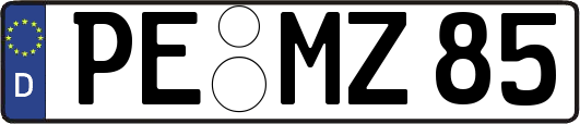 PE-MZ85