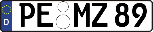 PE-MZ89
