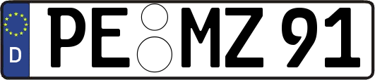 PE-MZ91