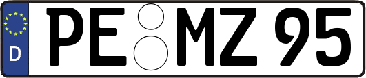 PE-MZ95