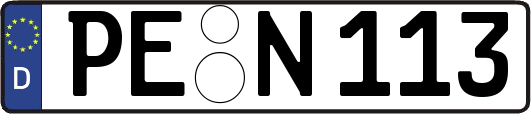 PE-N113