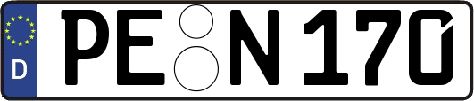 PE-N170