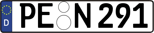 PE-N291
