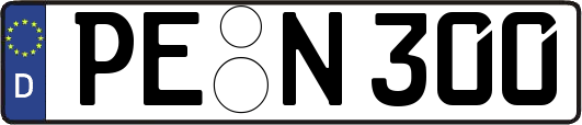 PE-N300
