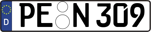 PE-N309