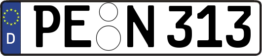 PE-N313