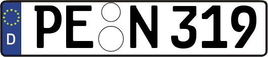PE-N319