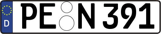 PE-N391