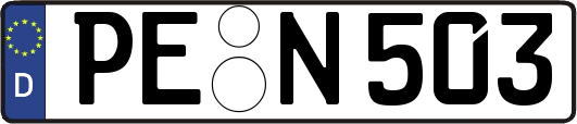 PE-N503