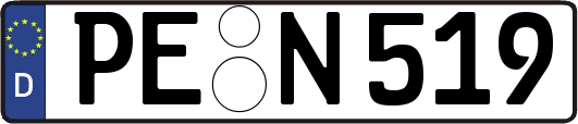 PE-N519