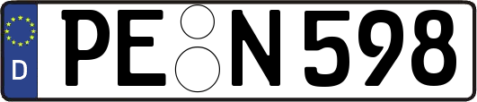 PE-N598