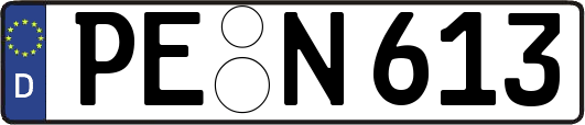 PE-N613