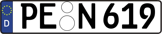 PE-N619