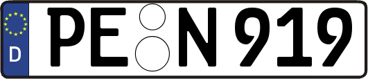 PE-N919