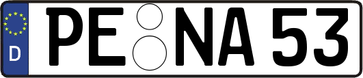 PE-NA53