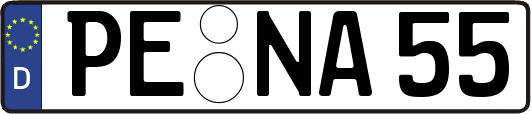 PE-NA55
