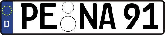 PE-NA91