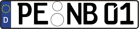 PE-NB01