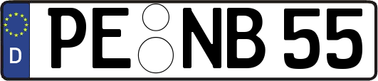 PE-NB55