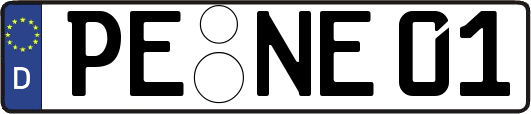 PE-NE01
