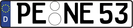 PE-NE53