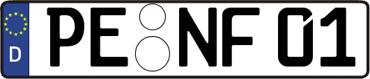 PE-NF01