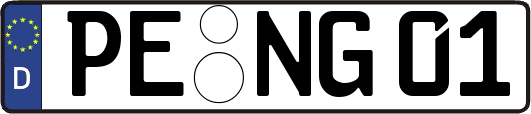 PE-NG01