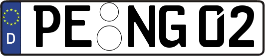 PE-NG02