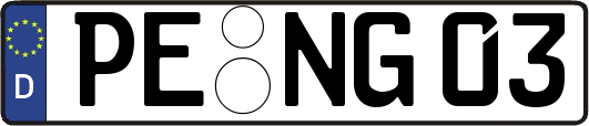 PE-NG03