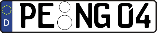 PE-NG04