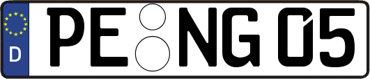 PE-NG05