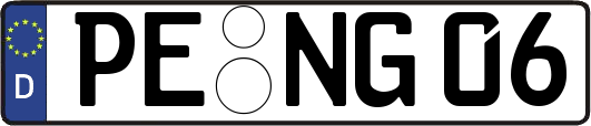 PE-NG06